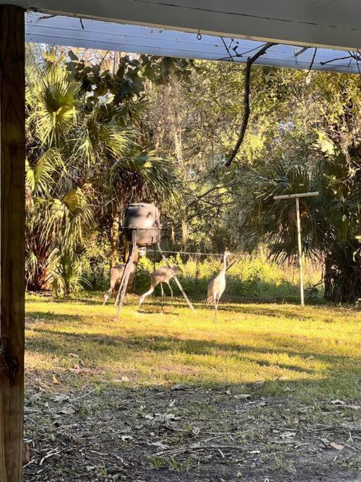 Quiet Farmhouse In The Country Close To Major Theme Parks Ridge Manor エクステリア 写真